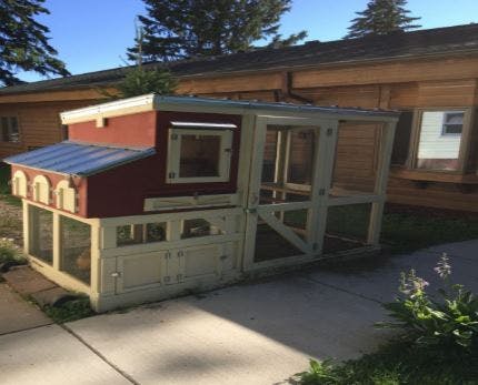 Red and white chicken coop with an attached run