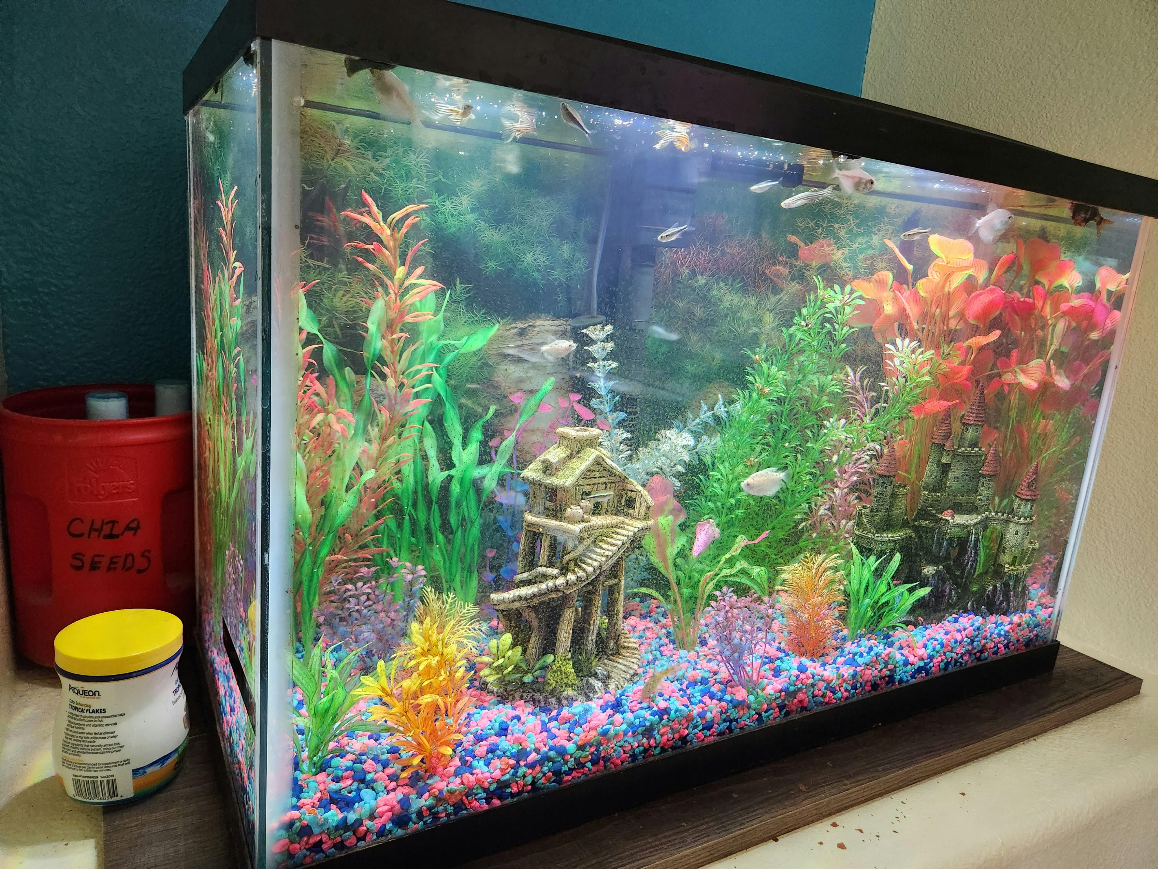 Fish tank with colorful gravel, plants, and decorative structures