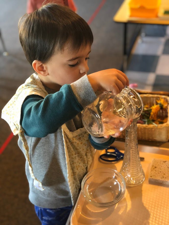 Child pouring water from a glass into a measuring beaker
