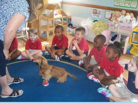 Cornerstone Christian School Daycare in Dunedin, FL Winnie