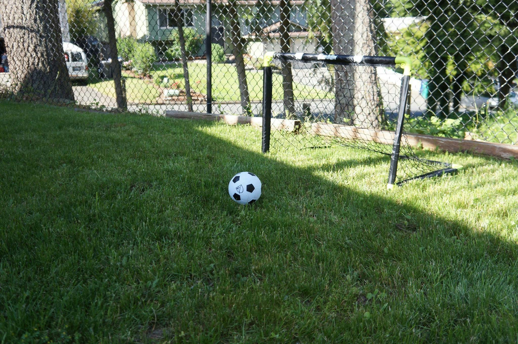 Soccer ball on grass near a small net