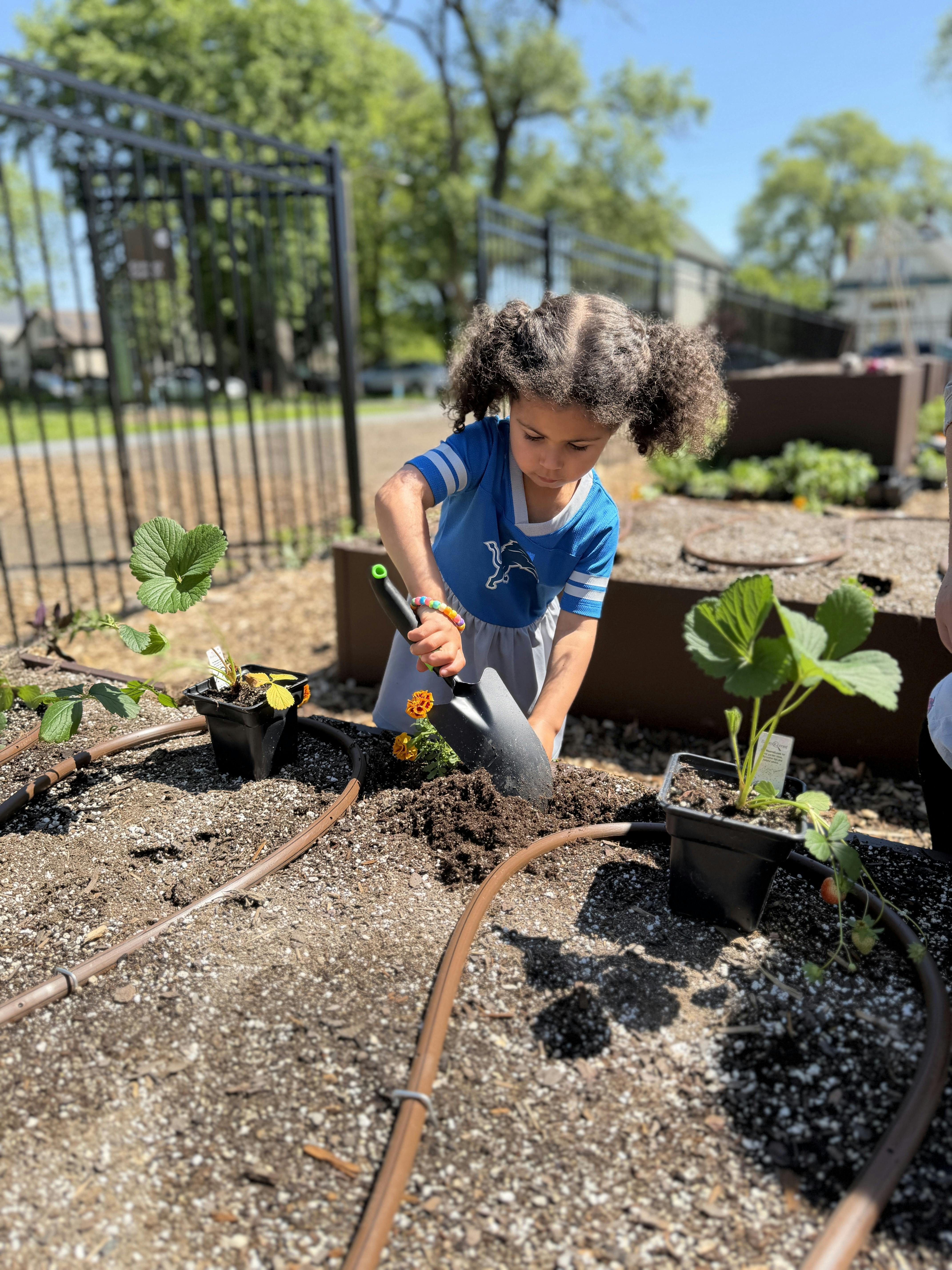 Child using a small garden shovel to plant a flower in a raised garden bed