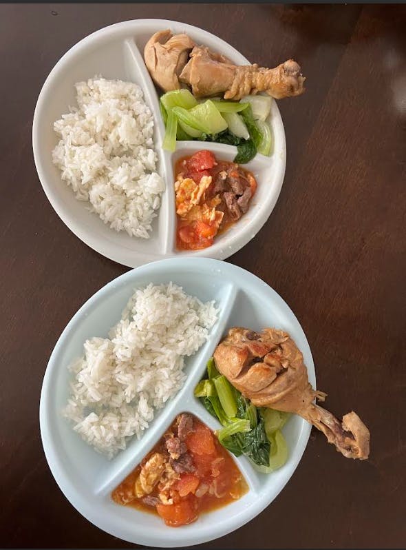 Two plates with rice, chicken, bok choy, and tomato with egg and meat