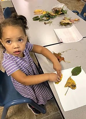 Child pressing a leaf onto paper atablet of other leaves