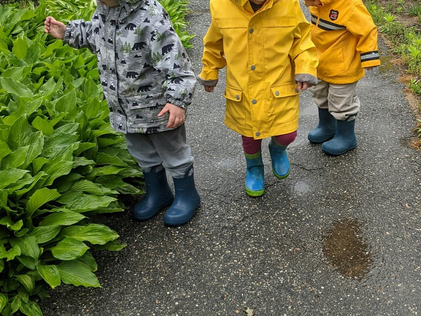 Three children in rain gear and boots walking on a path next to green plants