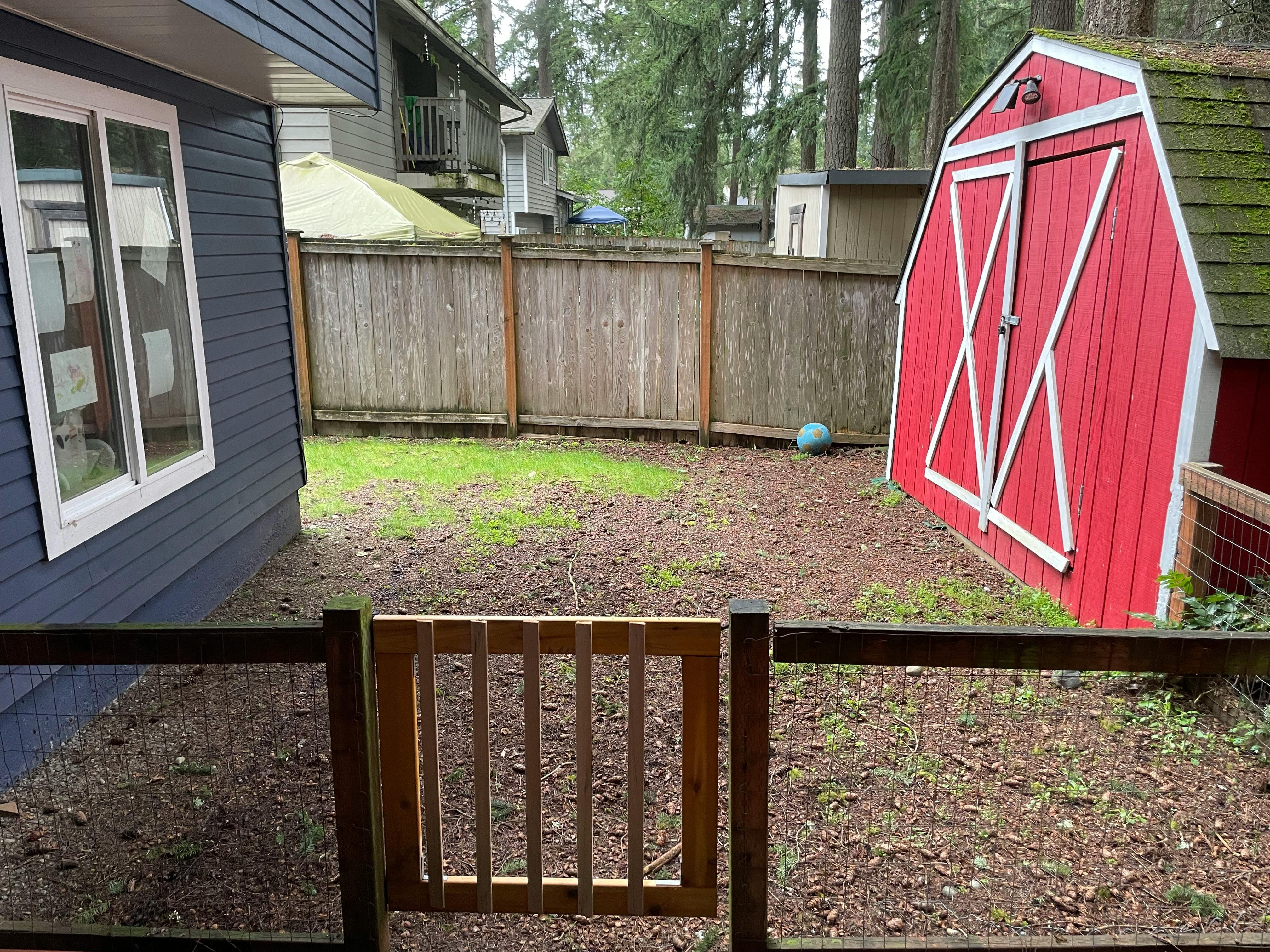 Backyard with a red shed, wooden fence, and a house