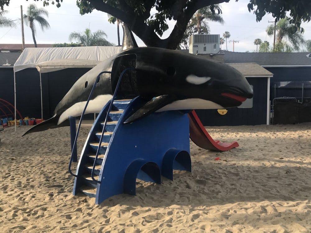 Orca whale playground slide on sand