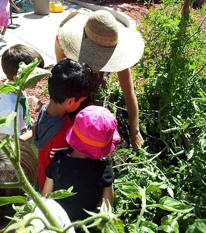 Person in a hat with children looking at plants