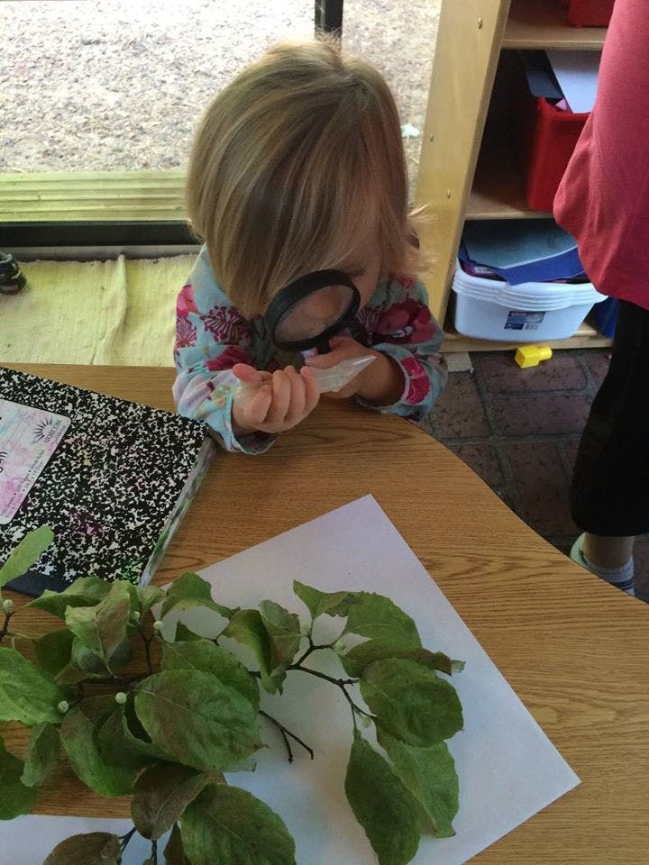 Child looking through a magnifying glass at an object in their hand