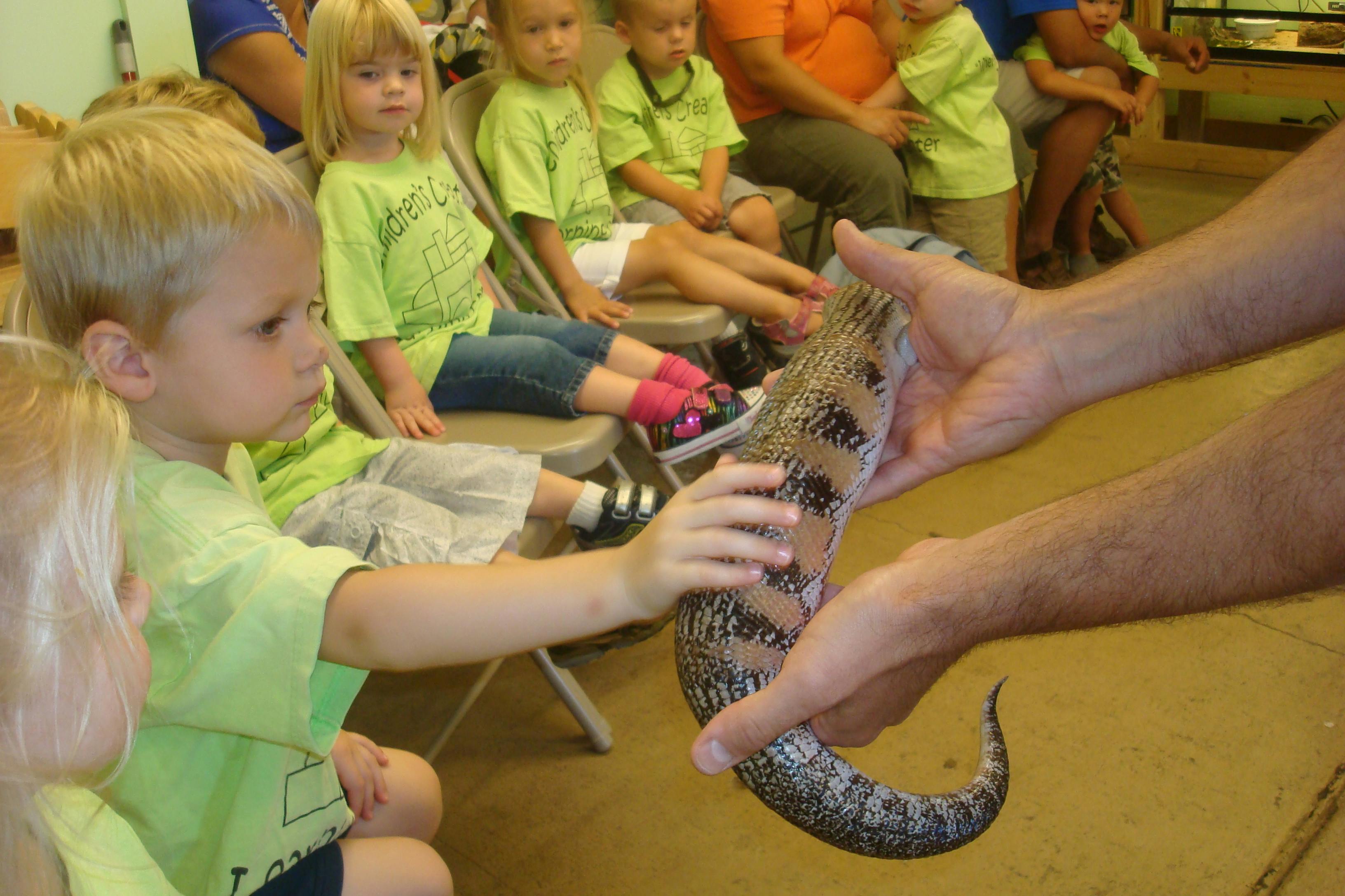 Child touching a lizard held by an adult