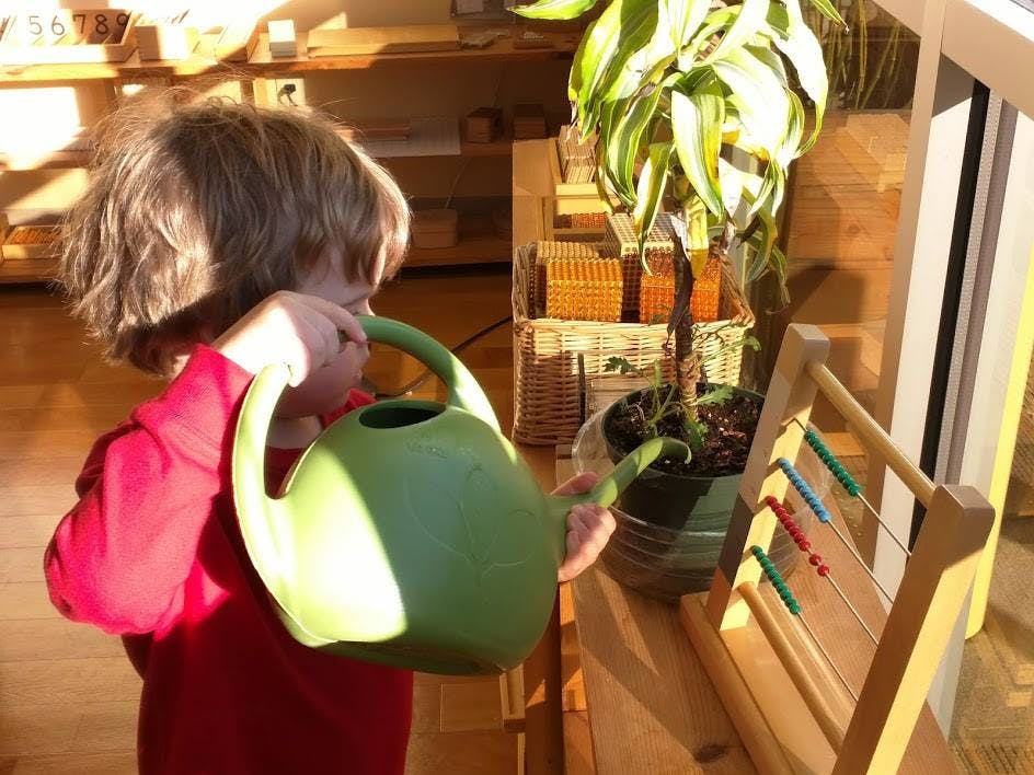 Child watering a plant with a green watering can