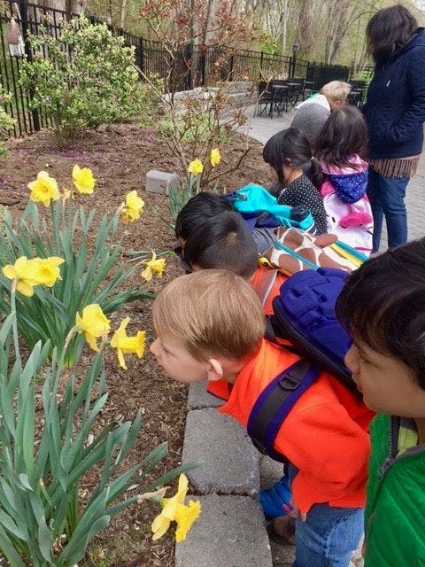 Children looking at yellow flowers in a garden