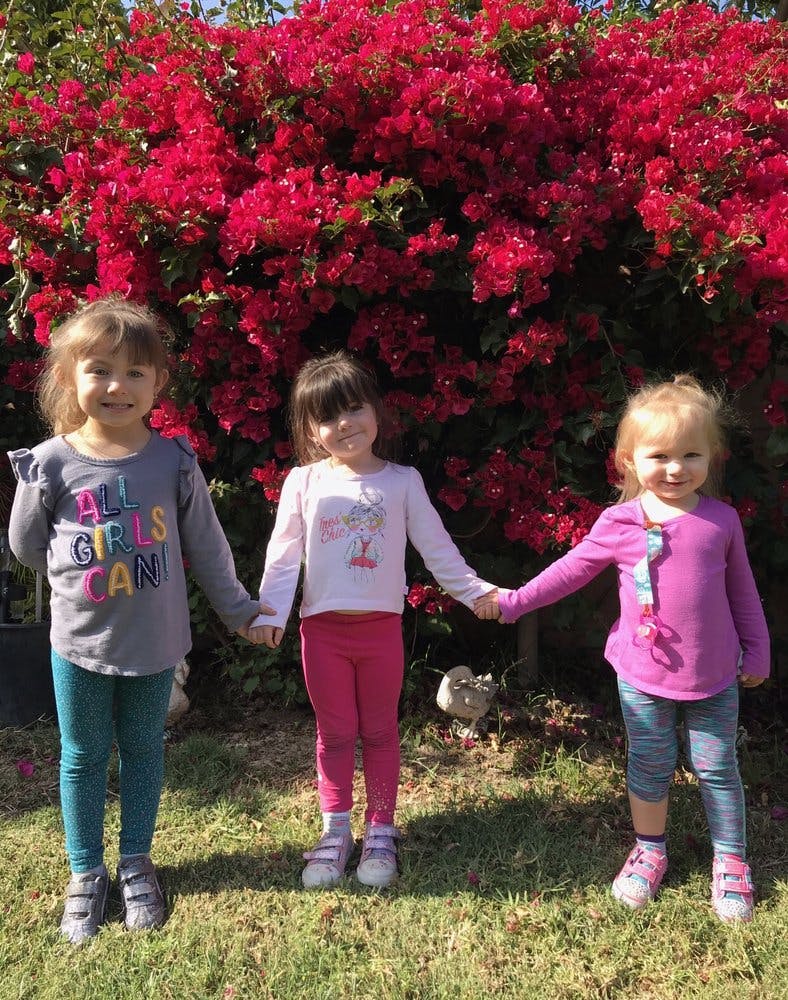 Three children holding hands in front of a red flowering bush