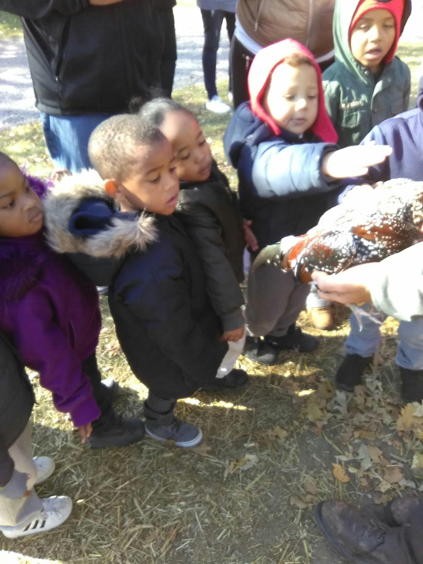 Children gathered around a person holding a bird