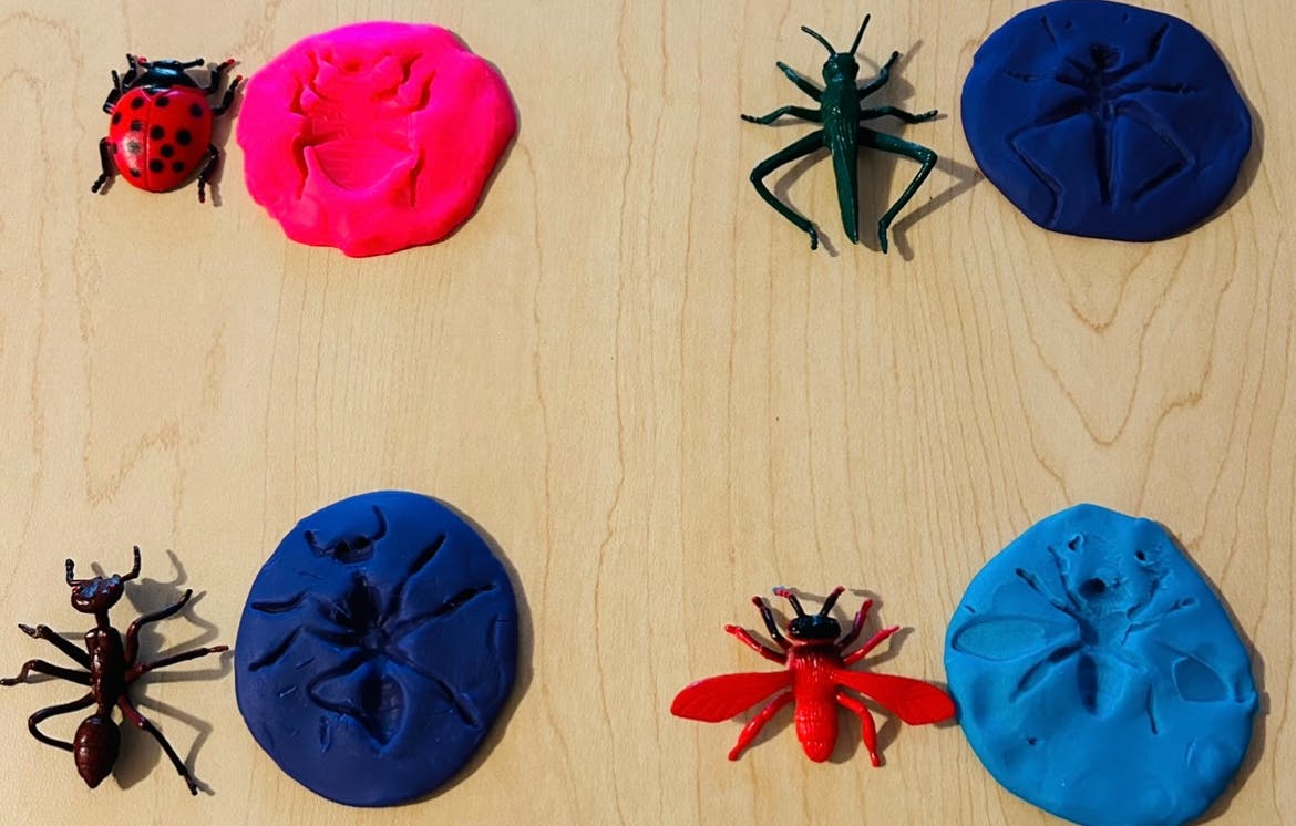 Plastic insect toys and playdough with insect impressions