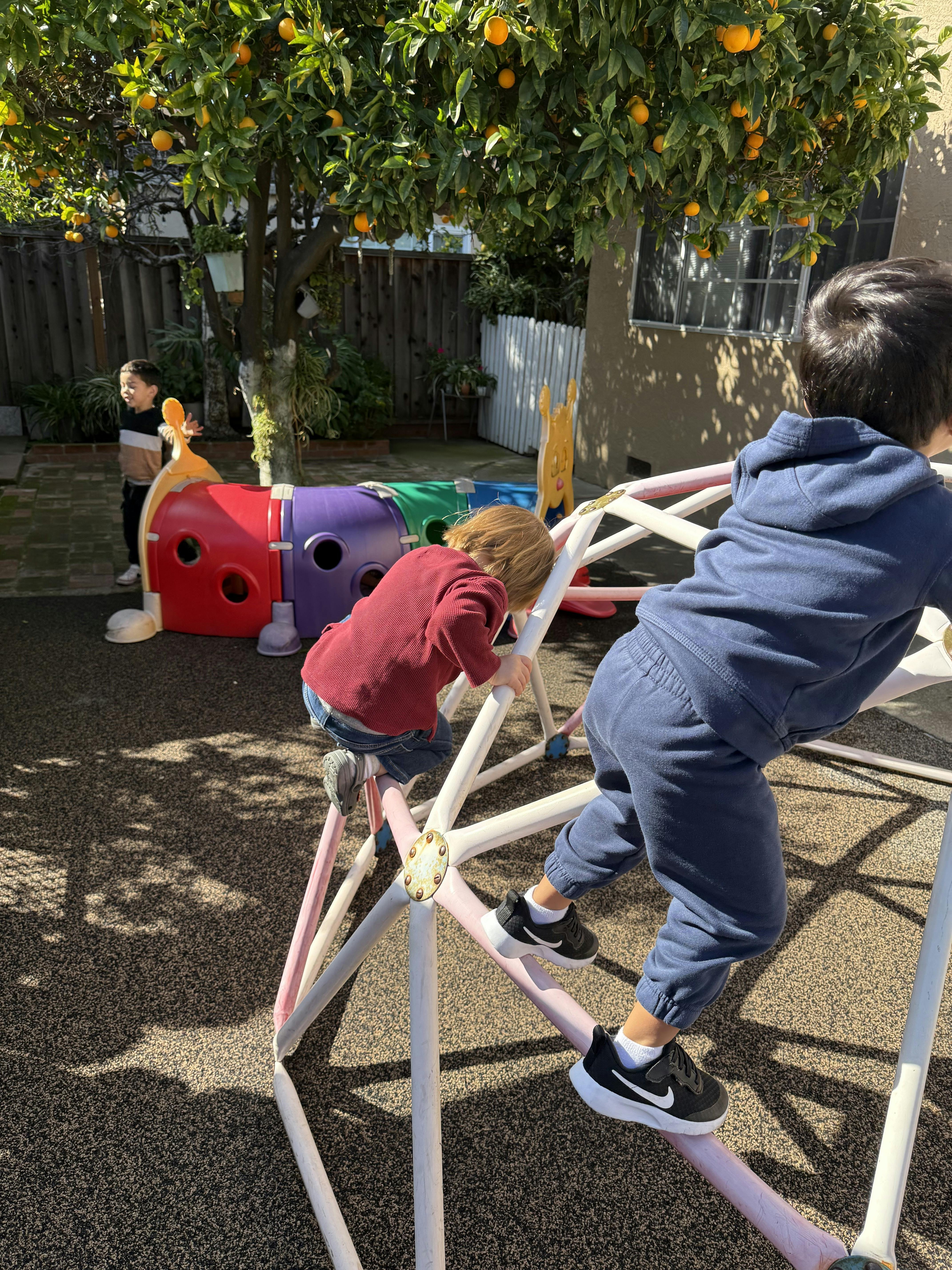 Children on a climbing dome with a play tunnel and orange tree in the background
