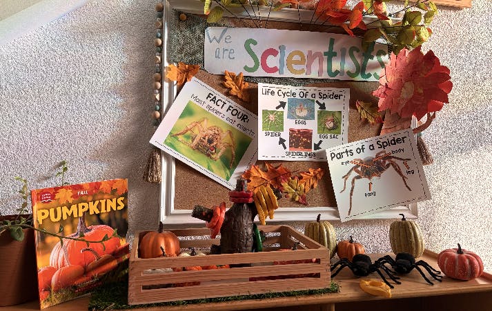 A bulletin board with "We are Scientists" above spider facts and pumpkins