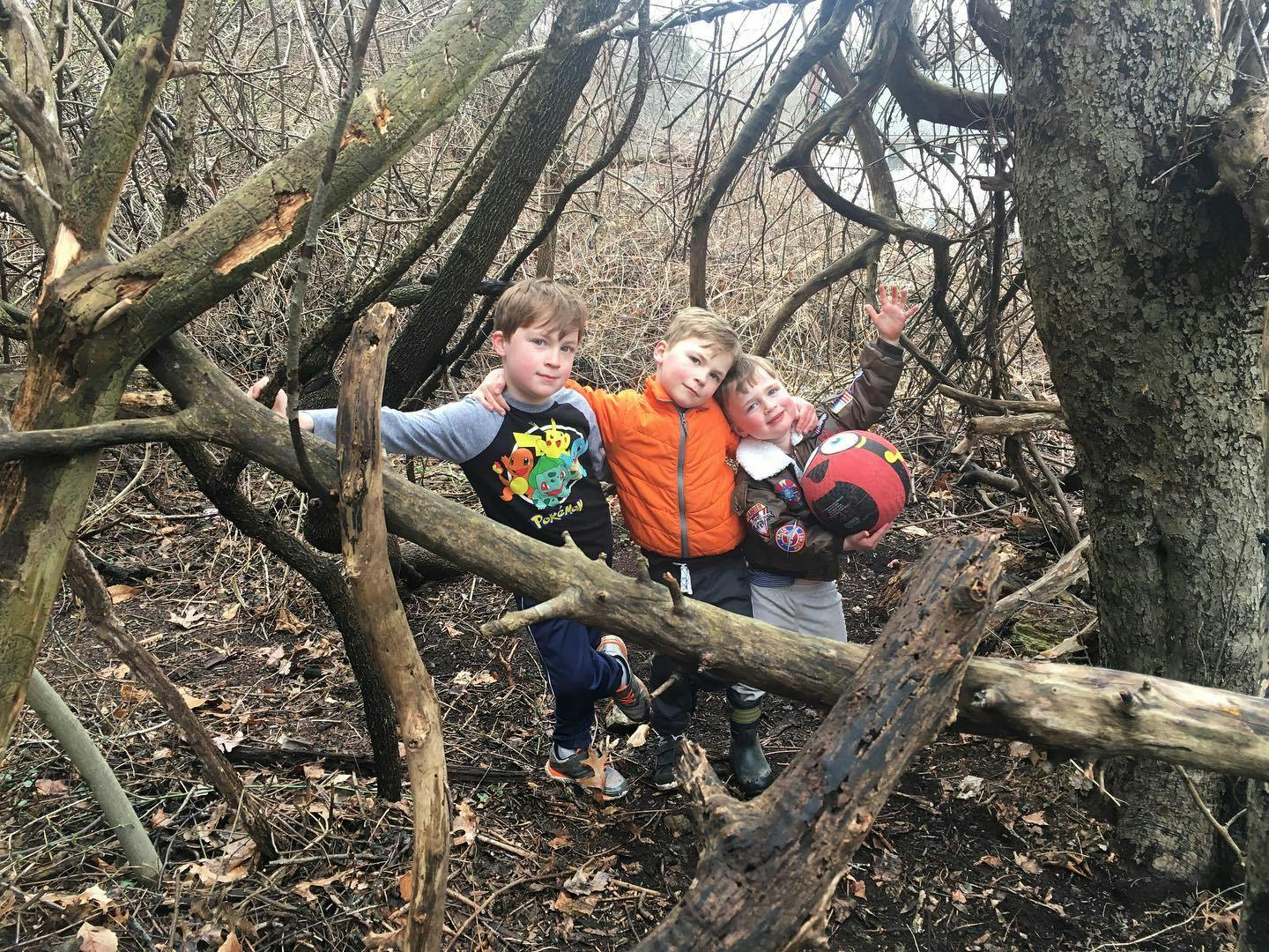 Three children standing among tree branches