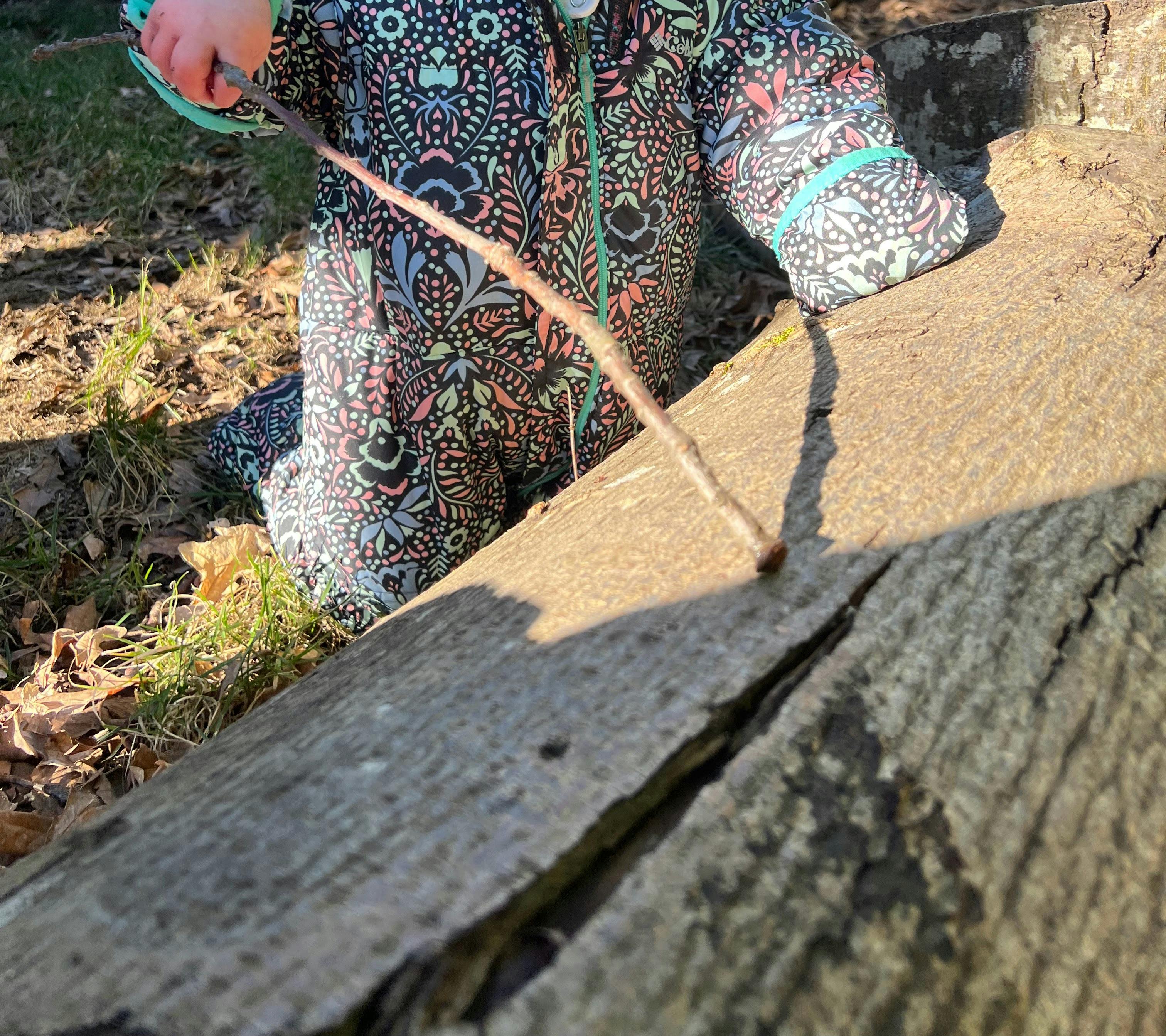 Child in a patterned snowsuit holding a stick over a large log