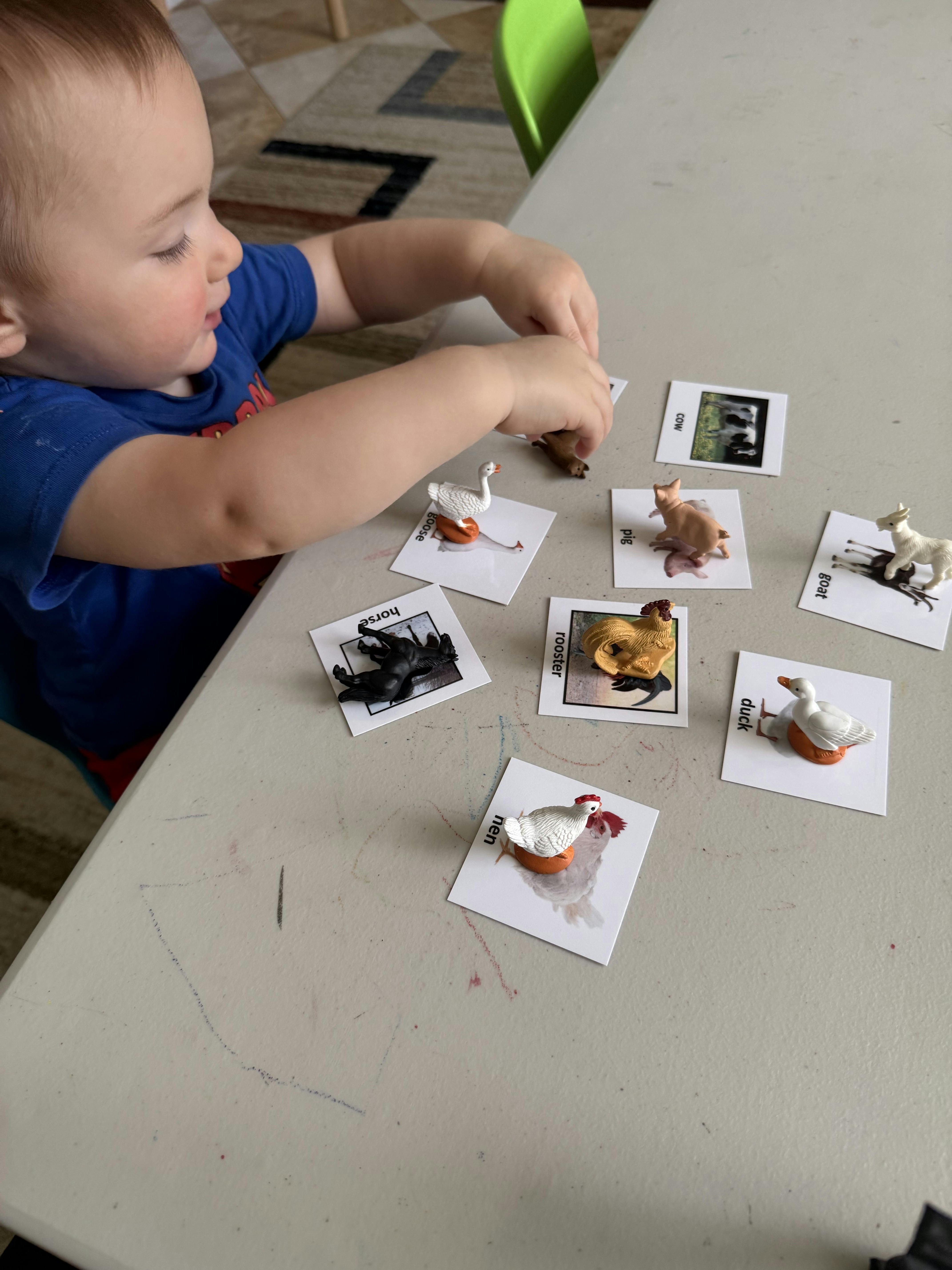 Child matching animal figurines to picture cards on a table