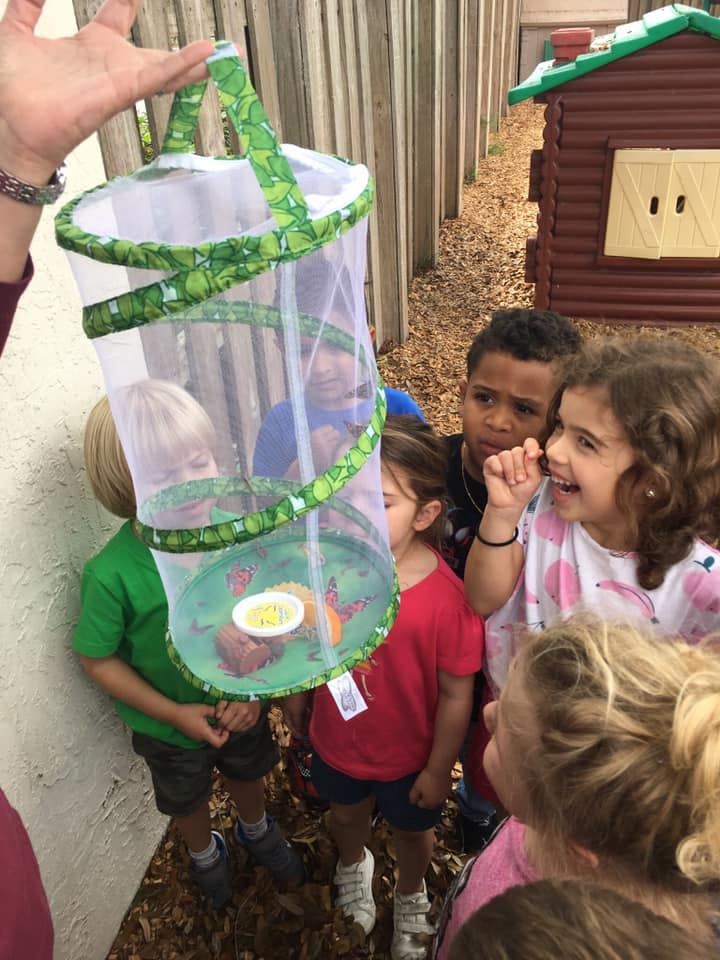 Person holding a butterfly habitat with children looking at it