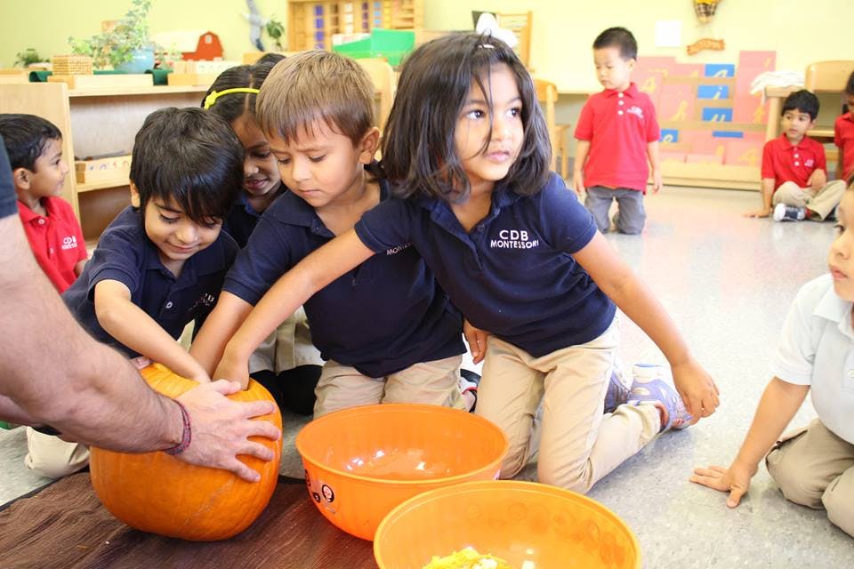 Best Montessori School in Sugar Land, Missouri City