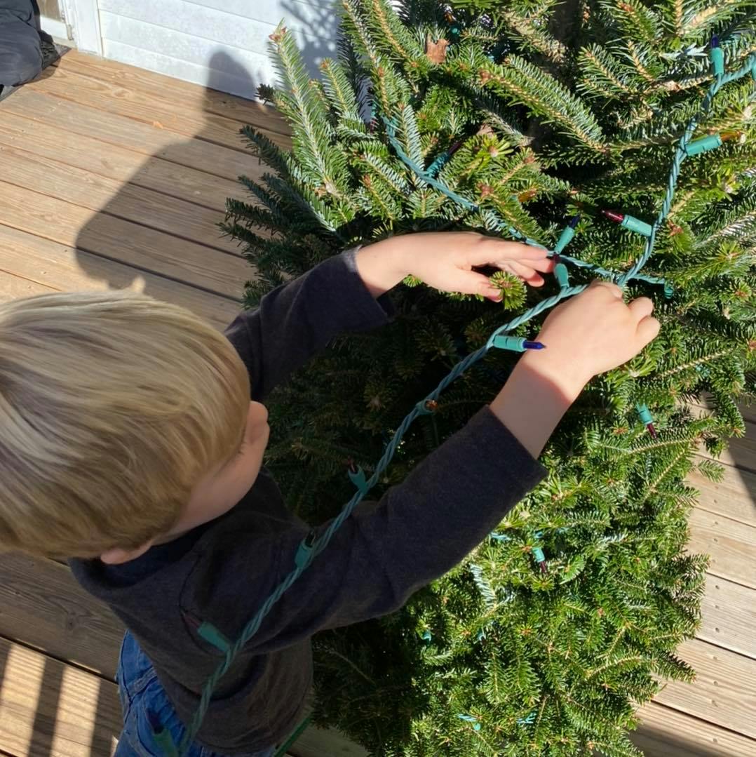 Child decorating a Christmas tree with lights