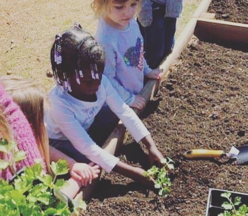 Big Blue Marble (Charlotte) - Daycare in Charlotte, NC - Winnie