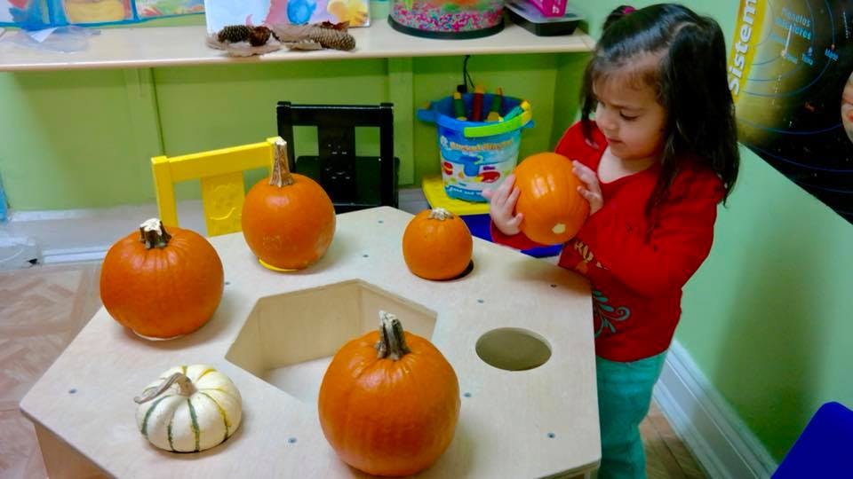 Child holding a small pumpkin over a table with other pumpkins