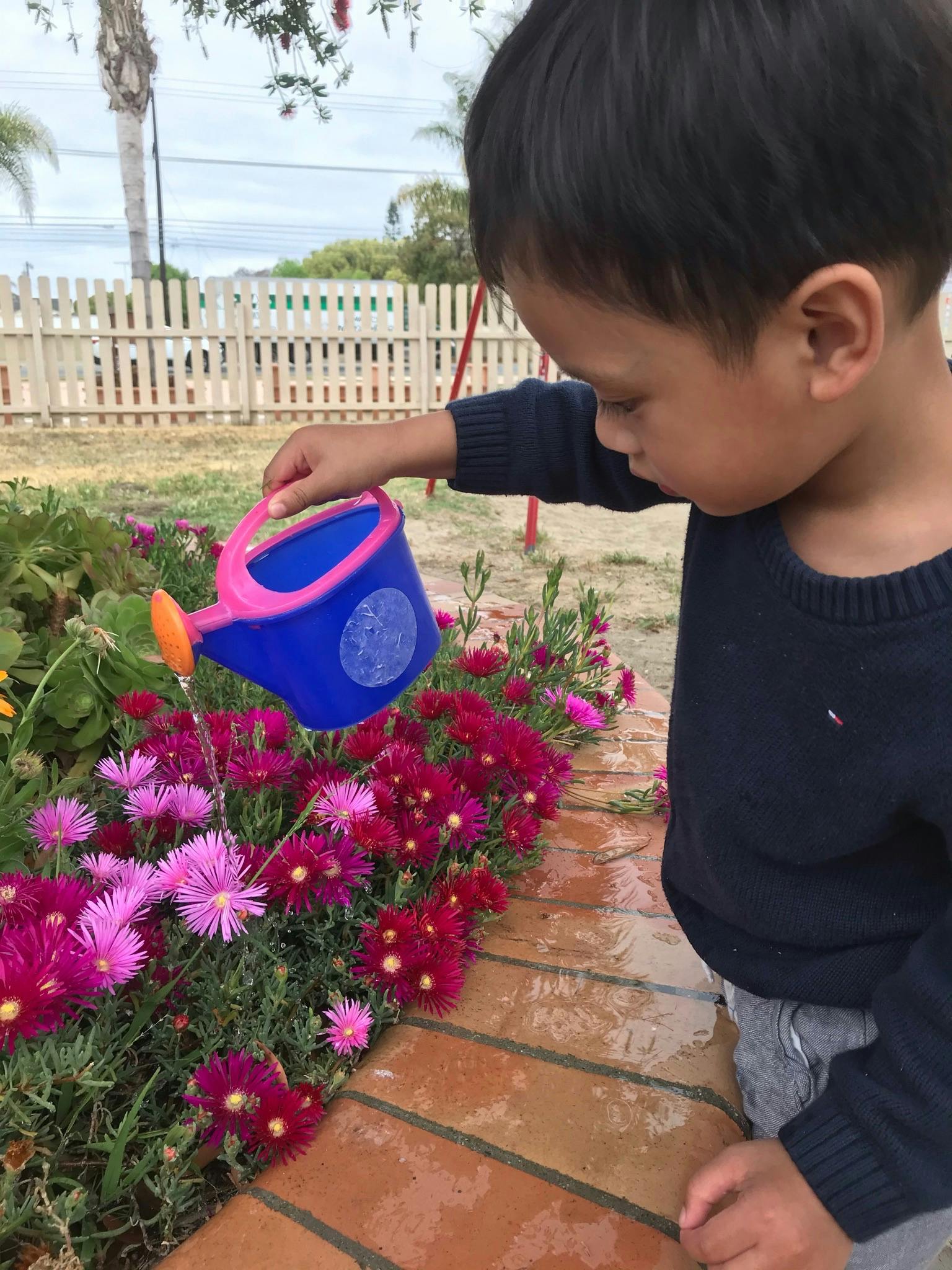 Child watering flowers with a small watering can