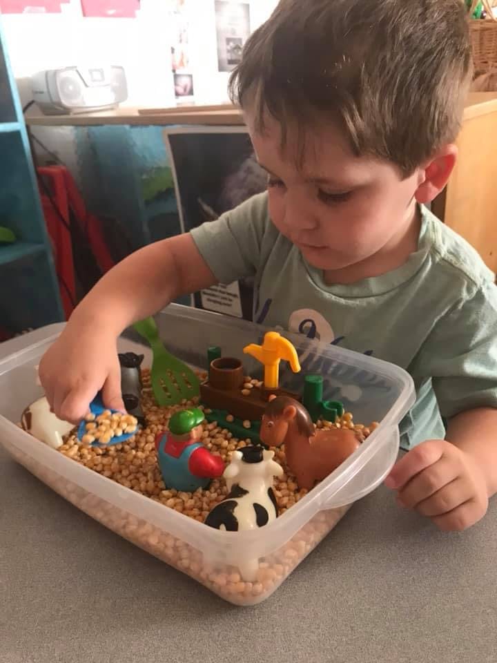 Child playing with farm animal toys in a bin of small grains