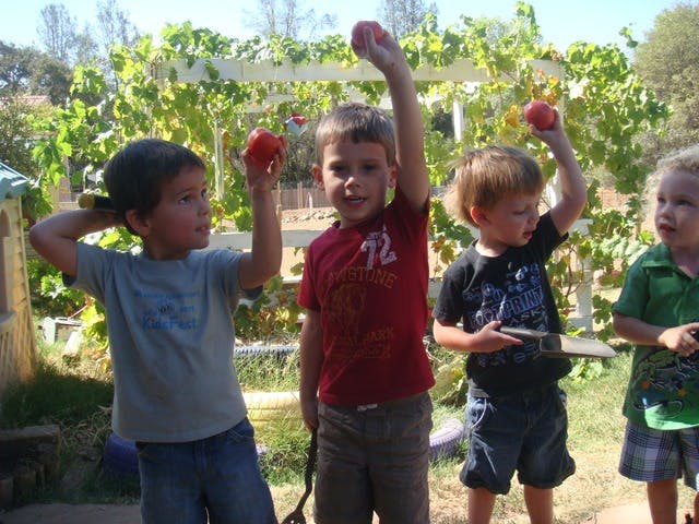 Pathways Ranch Preschool and Childcare in Auburn, CA