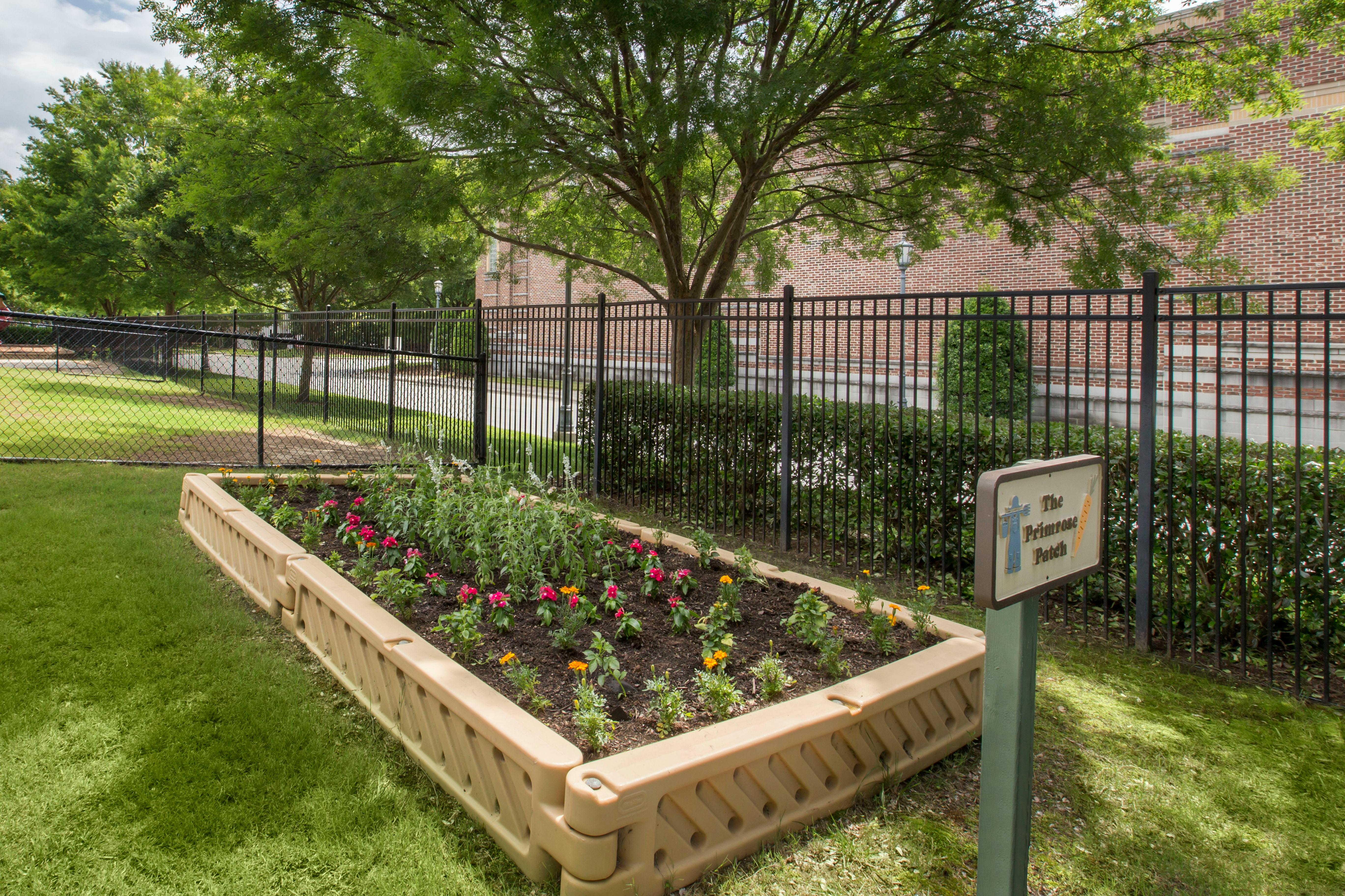 Raised garden bed with pink and orange flowers and a sign reading "The Primrose Patch"