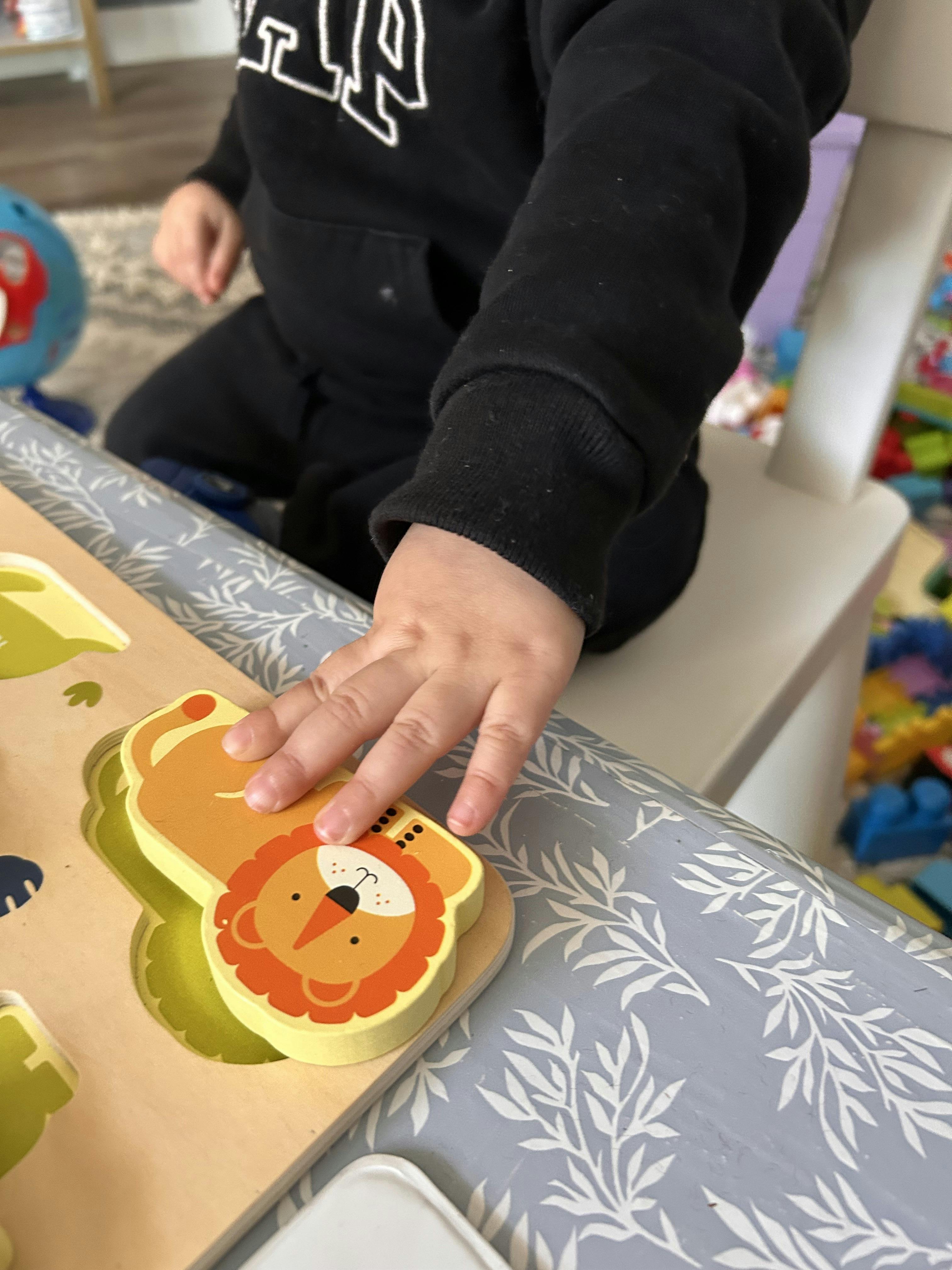 Child's hand on a lion puzzle piece
