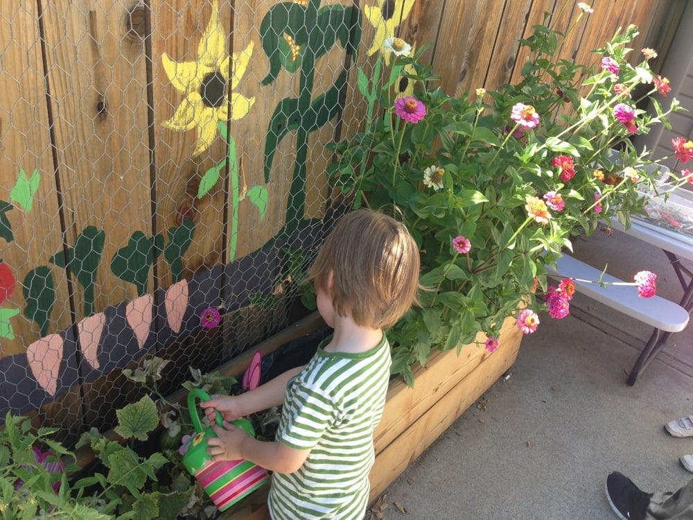 Child watering plants in a raised garden bed