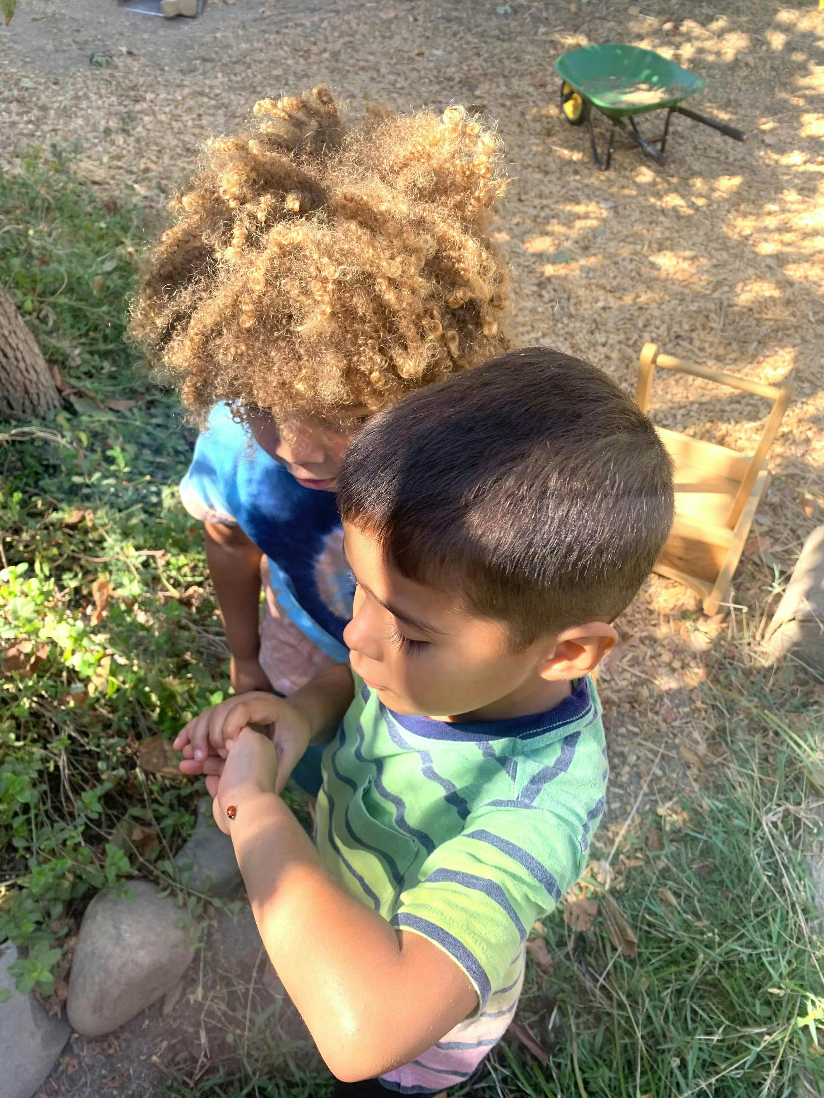 Two children looking at something in a child's hand