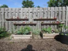 Raised garden beds with plants in front of a wooden fence