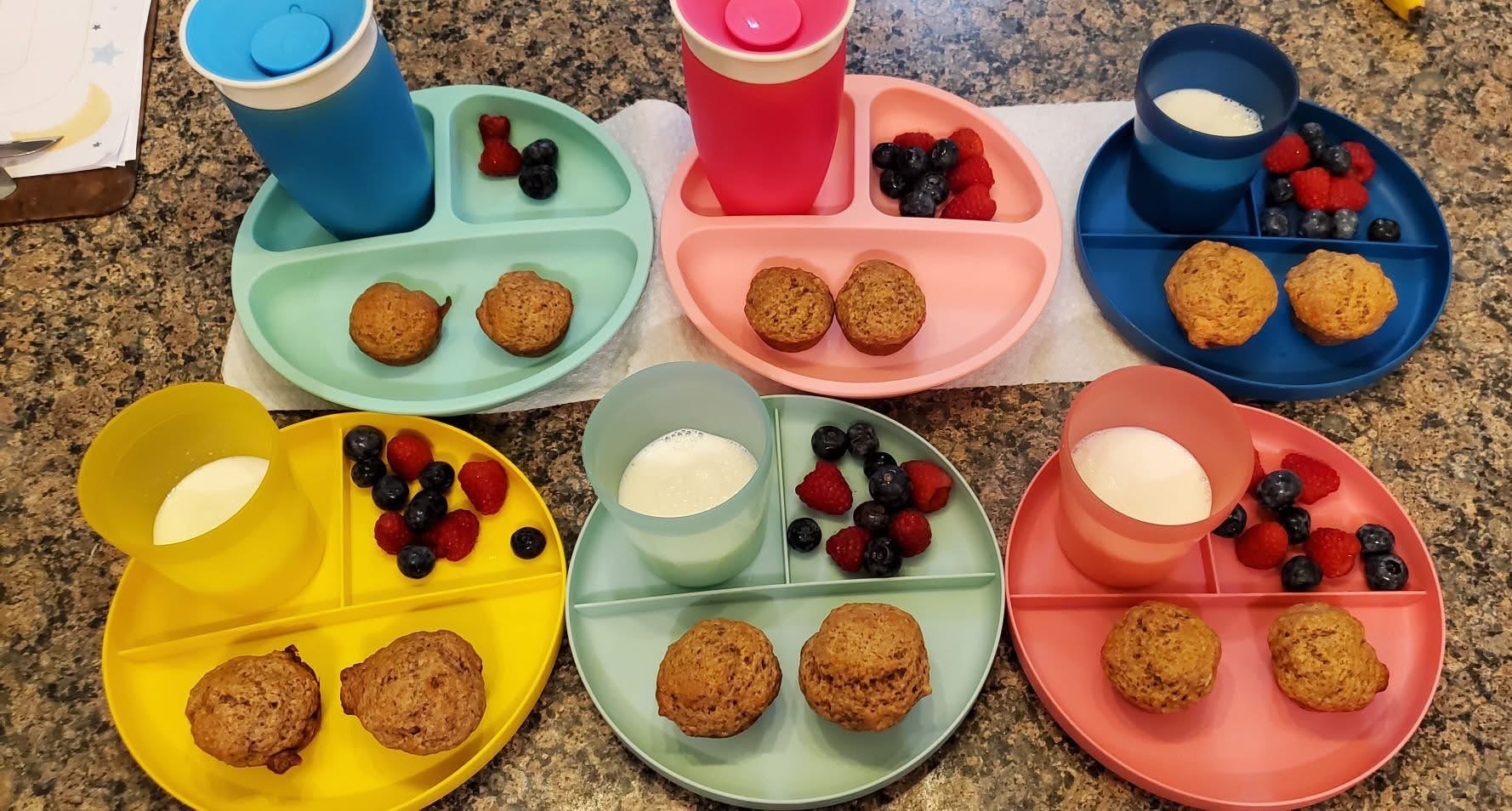 Six plates with muffins, berries, and cups of milk arranged on a counter
