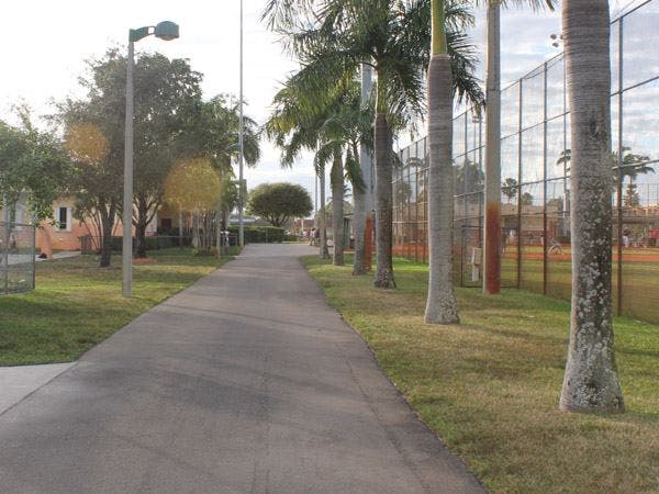 Paved path lined with palm trees and a fence next to a field
