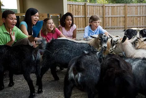 Scripps Ranch Swim Racquet Club Child Care Center Daycare In San Diego Ca Winnie