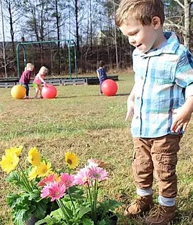 Child looking at potted flowers with other children playing in background