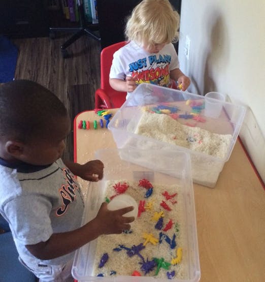 Cradles To Crayons Child Care Learning Daycare In Lansing Mi Winnie