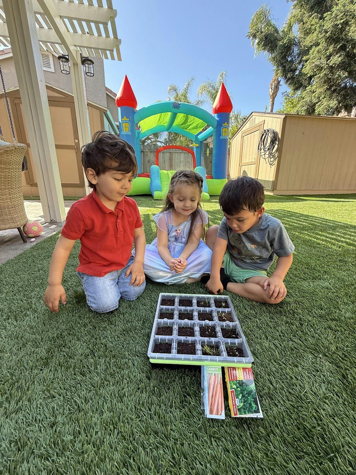 Three children kneeling on grass looking at a seed tray with seedlings