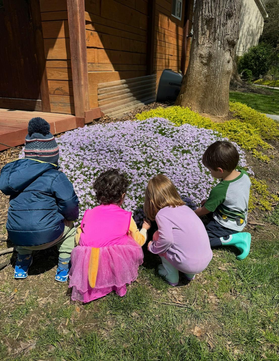 Four children kneeling in grass looking at purple flowers