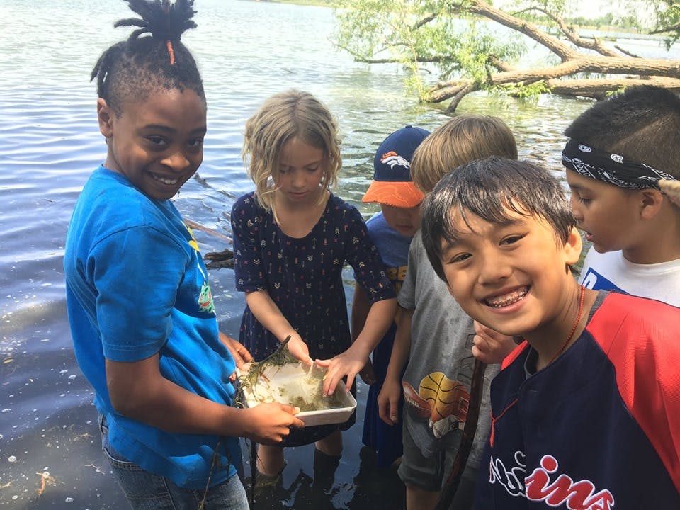 Children standing in water, looking at a tray of aquatic plants