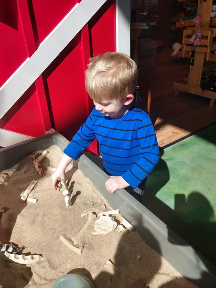 Child playing in a sand table with bone-like objects