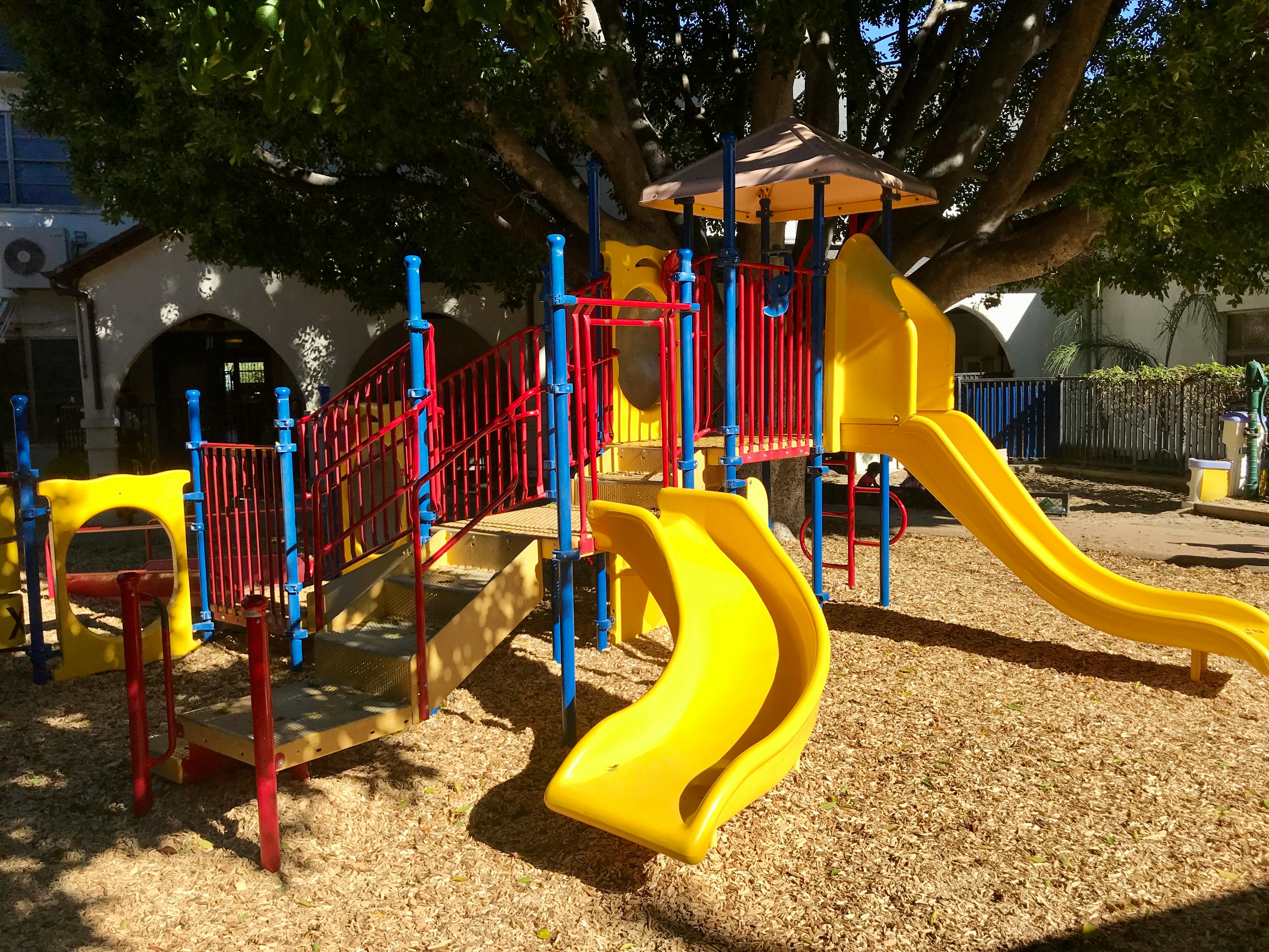 Playground structure with multiple slides under a large tree