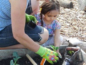 Person and child planting in a garden