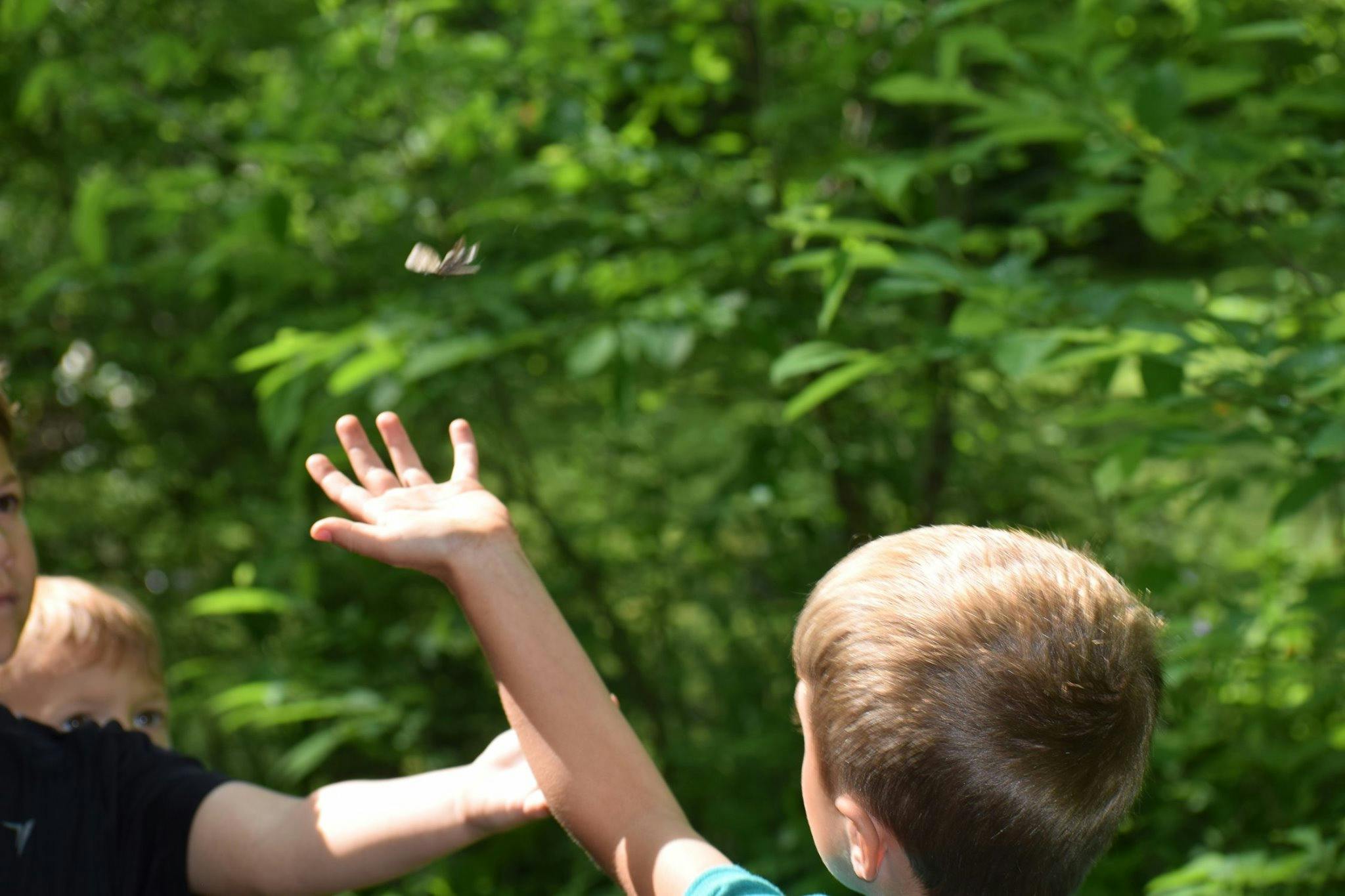 Child reaching for a flying object outdoors