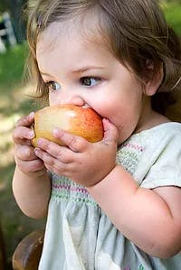 Child eating an apple